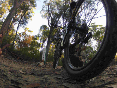 downhill mountain biking